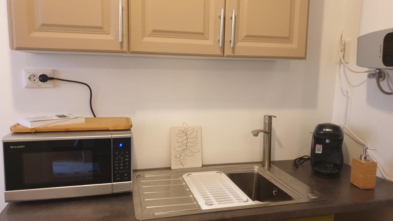 Casa Arion Apartment Baile Herculane Bagian luar foto