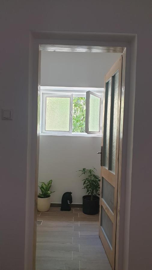 Casa Arion Apartment Baile Herculane Bagian luar foto