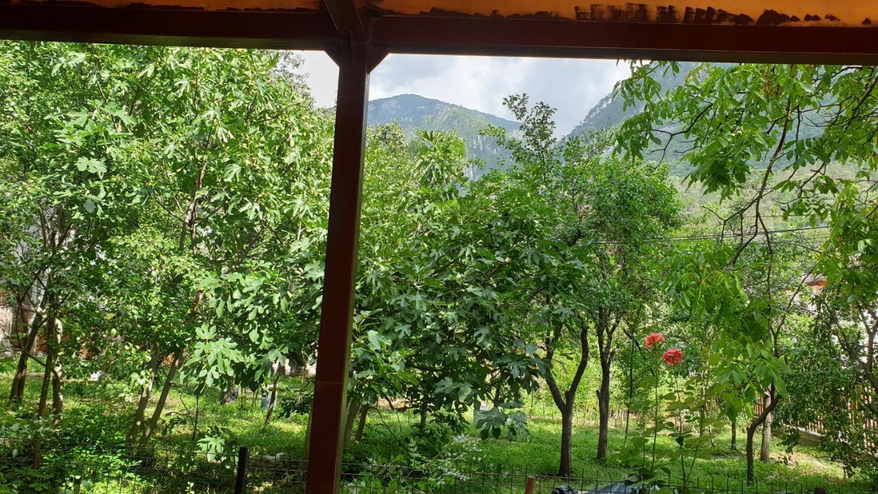 Casa Arion Apartment Baile Herculane Bagian luar foto
