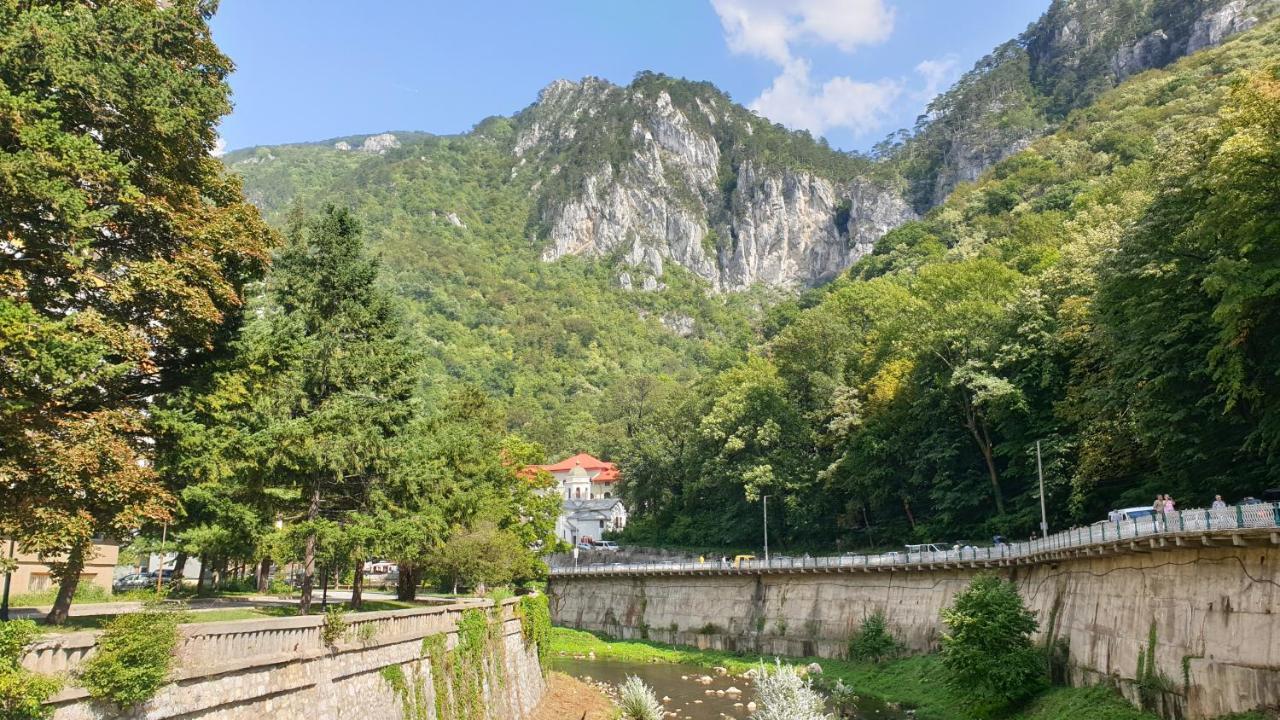 Casa Arion Apartment Baile Herculane Bagian luar foto