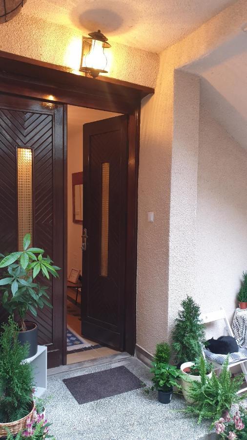 Casa Arion Apartment Baile Herculane Bagian luar foto